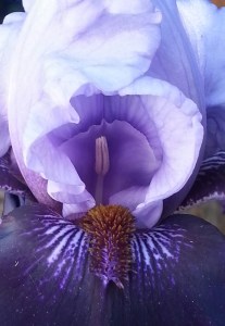 20150602_094110-1[1]