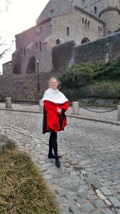 IMG_20160229_151706299_HDR